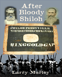 After Bloody Shiloh - A Novel by Larry Murely